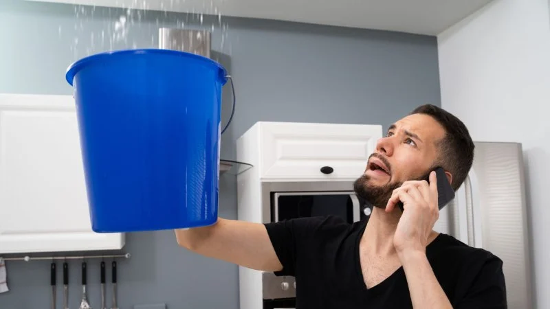 DIY vs. Professional Water Damage Repair: Which Is Right for You?