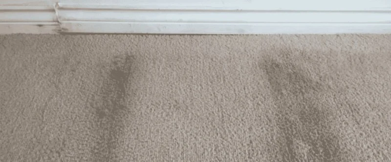 How to Dry Out Water-Damaged Rugs Quickly