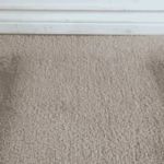 How to Dry Out Water-Damaged Rugs Quickly