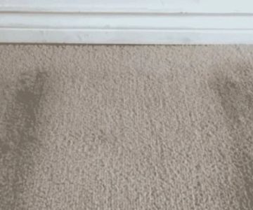 How to Dry Out Water-Damaged Rugs Quickly