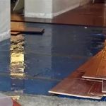 Signs You Need Immediate Water Damage Repair: Key Indicators