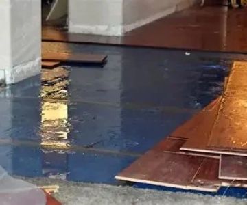 Signs You Need Immediate Water Damage Repair: Key Indicators