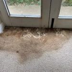 Effective Water Damage Repair for Carpets and Rugs - Expert Tips