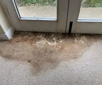 Effective Water Damage Repair for Carpets and Rugs - Expert Tips