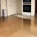 Water Damage Restoration for Apartments and Condos: Expert Solutions