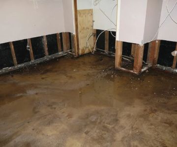 How to Handle Water Damage from Basement Condensation