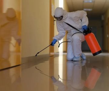 Can Water Damage Cause Structural Problems in Your Home? | Prevention Tips