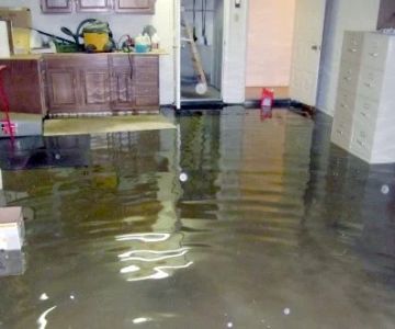 What to Do if Your House is Flooded from a Broken Pipe | Reliable Damage Hub