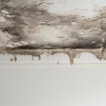 How to Prevent Water Damage From Leaky Roofs | Expert Tips