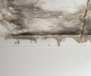 How to Prevent Water Damage From Leaky Roofs | Expert Tips