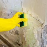 How to Remove Mold After Water Damage: A Comprehensive Guide