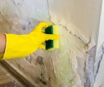 How to Remove Mold After Water Damage: A Comprehensive Guide