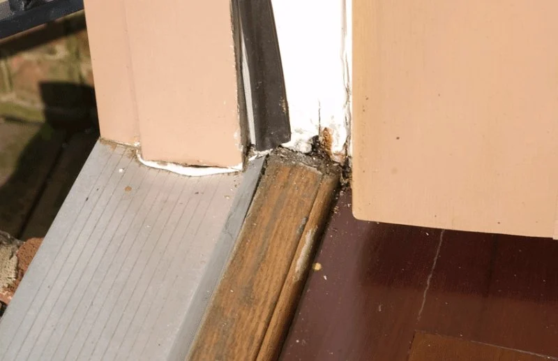 How to Repair Water-Damaged Doors and Frames | Expert Advice