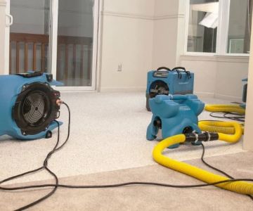 Water Damage Restoration Tips for Older Homes | Fix Water Damage Effectively