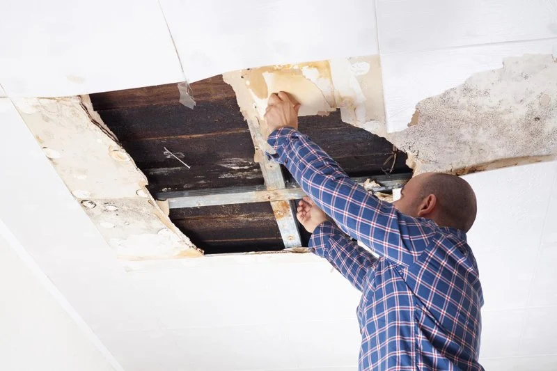 Water Damage Repair for Ceiling and Wall Mold – Expert Guide and Solutions