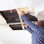 Water Damage Repair for Ceiling and Wall Mold – Expert Guide and Solutions