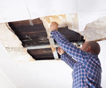 Water Damage Repair for Ceiling and Wall Mold – Expert Guide and Solutions