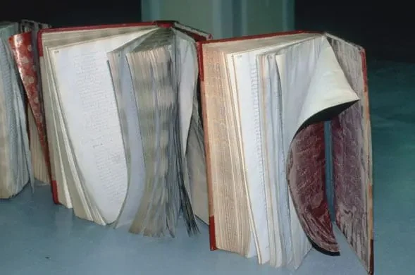 How to Restore Water-Damaged Books and Papers | Reliable Damage Hub