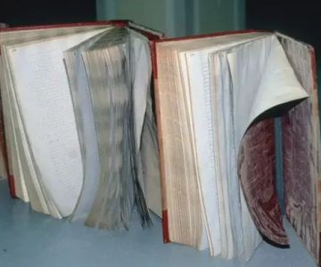 How to Restore Water-Damaged Books and Papers | Reliable Damage Hub