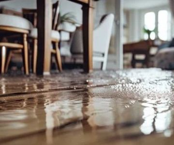 Water Damage Restoration for Apartments and Condos – Complete Guide