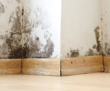 Water Damage Repair for Insulation in Walls