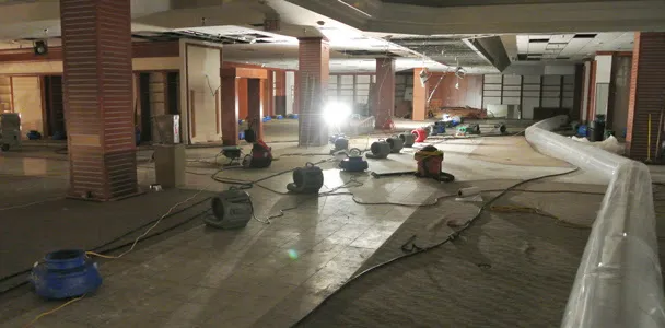 Alliance Environmental Group Picture 1