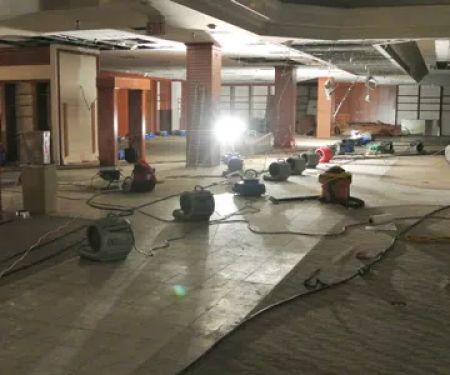 Alliance Environmental Group