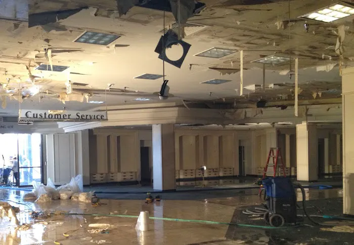 Alliance Environmental Group Picture 3