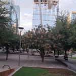 Integrity Contents Services