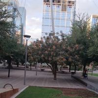 Integrity Contents Services ico