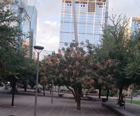 Integrity Contents Services