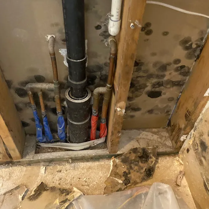 Elevated Emergency Restoration Picture 5