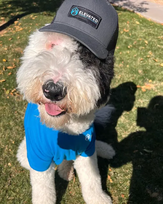 Elevated Emergency Restoration Picture 3