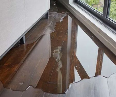 PuroClean of West Phoenix