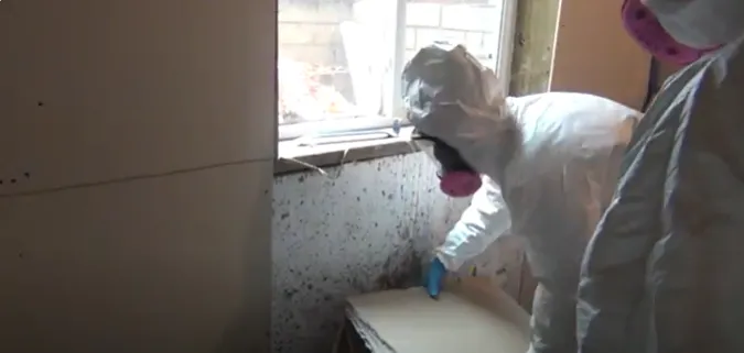 Urgent Mold Removal Phoenix Picture 2