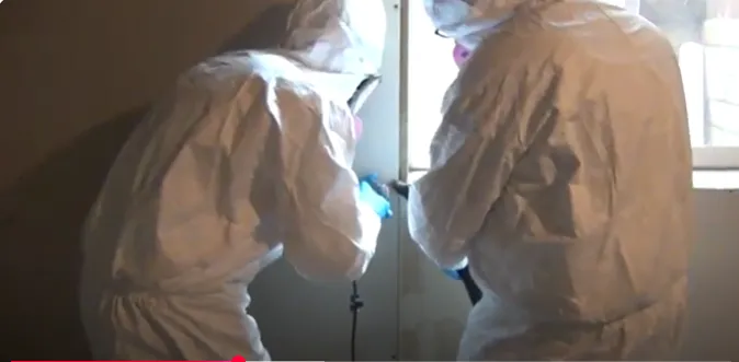 Urgent Mold Removal Phoenix Picture 1