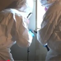 Urgent Mold Removal Phoenix ico