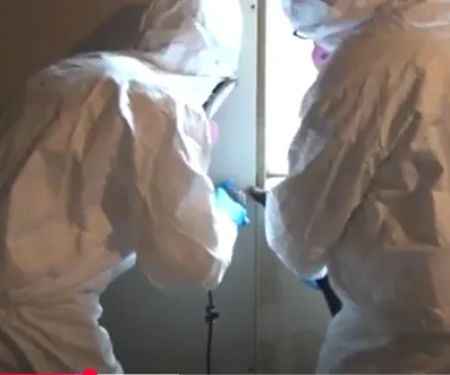 Urgent Mold Removal Phoenix