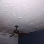 Specialty Water Damage Restoration LLC