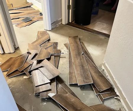 Rocky Mountain Restoration