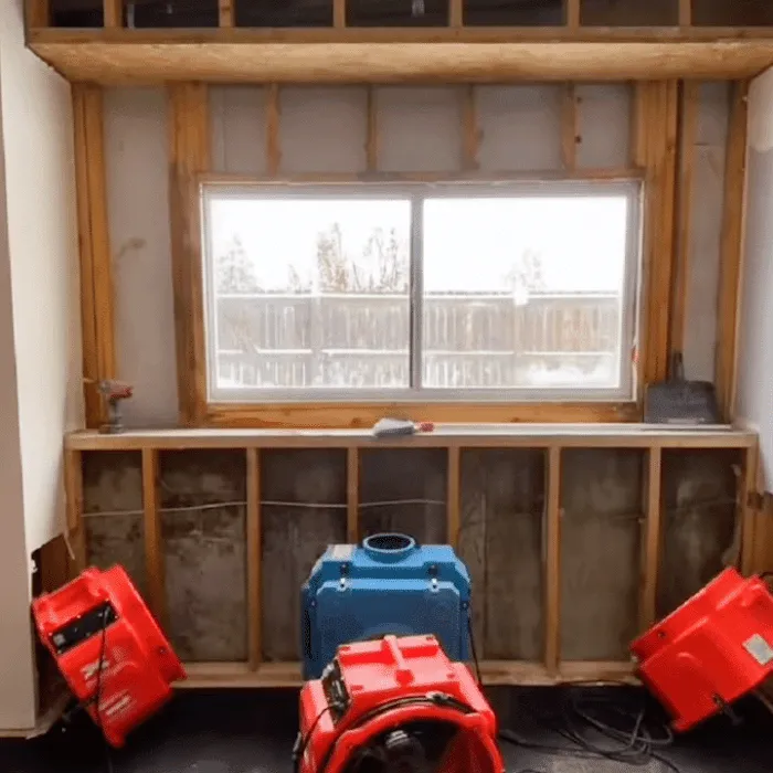 Prime Water Damage Restoration Phoenix Picture 9