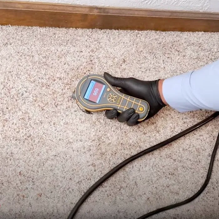 Prime Water Damage Restoration Phoenix Picture 5