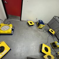 1-800 Water Damage of Tempe/West Chandler ico