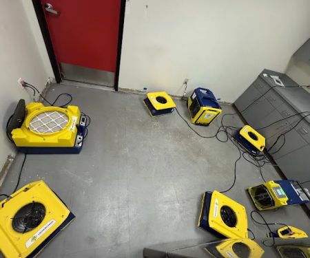 1-800 Water Damage of Tempe/West Chandler