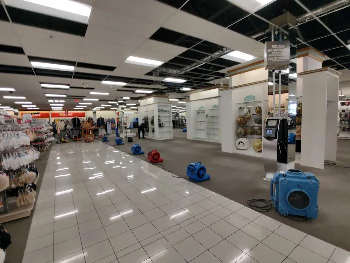 Zona Restoration Picture 5