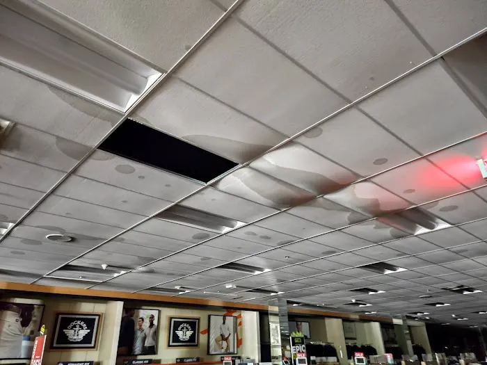 Zona Restoration Picture 6