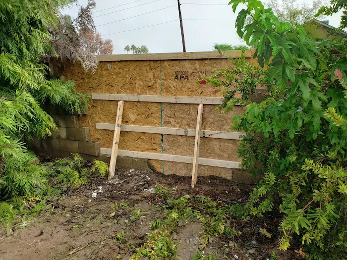 Zona Restoration Picture 9