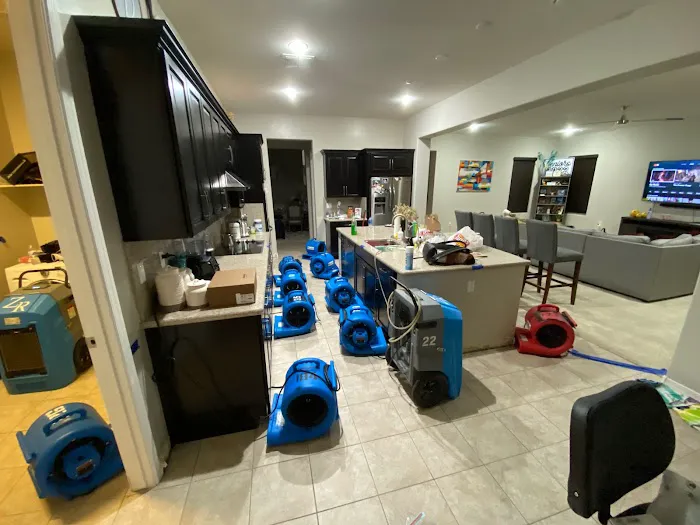 Zona Restoration Picture 4