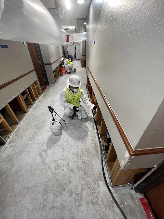 Disaster Recovery Restoration Picture 6