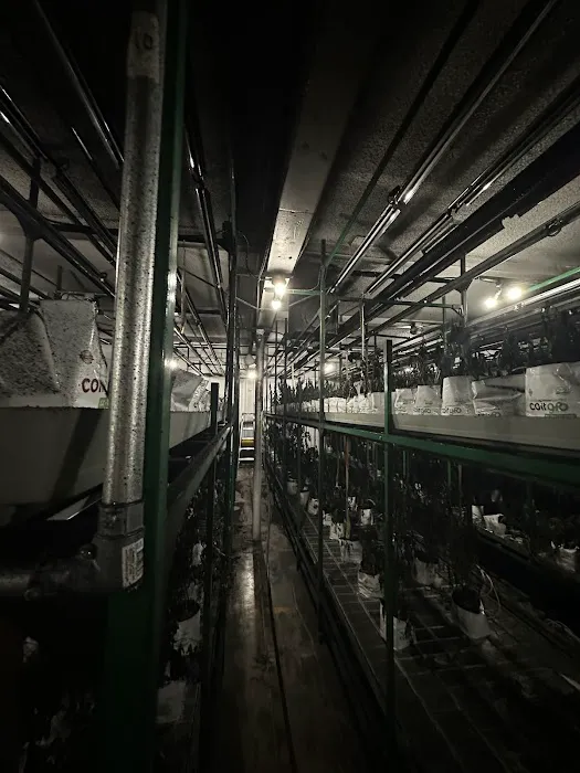 Disaster Recovery Restoration Picture 3